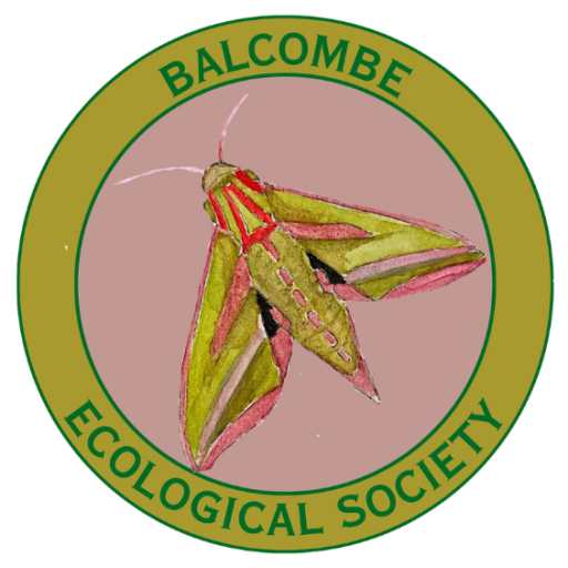 Balcombe Ecological Society